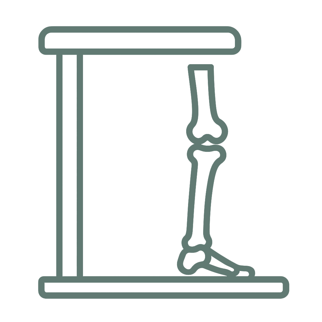 Icon Knochendichtemessung (DXA):